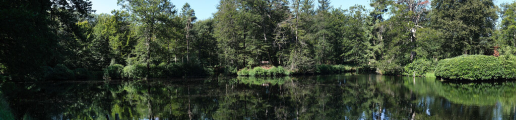 Small lake in a green deciduous forest full of sunlight and blue sky, reflections on the water,...