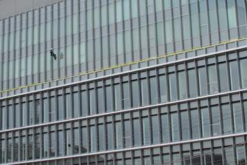 A man cleaning the windows of a building