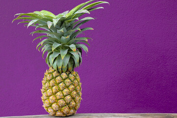 Isolated pineapple in purple color background