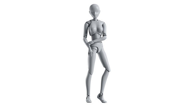 Mannequin female model woman isolated. 3D rendering