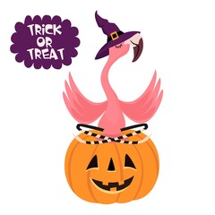 Happy Halloween. Cartoon flamingo with a hat sitting on a pumpkin. Funny vector illustration. Can be used as an element for cards, banners, posters.