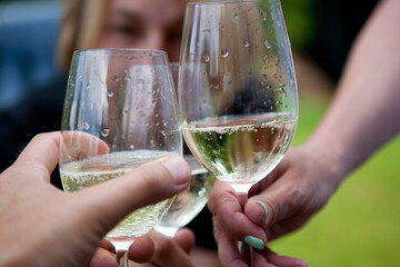 Female hands with wine glasses