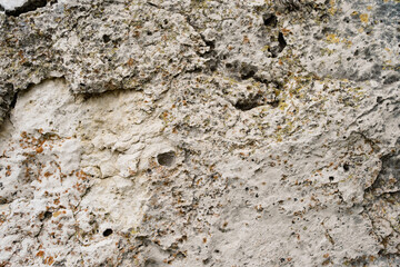 A background image of mossy rock pattern in nature