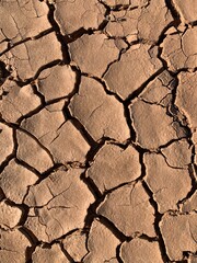 Suelo árido en Bárdenas Reales La Rioja 