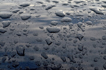 Rain drops on top of the dark car roof.Water drops on car roof after raining , selective focus