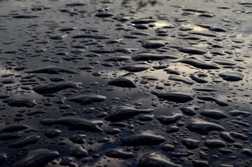 Rain drops on top of the dark car roof.Water drops on car roof after raining , selective focus