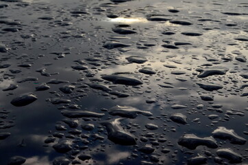 Rain drops on top of the dark car roof.Water drops on car roof after raining , selective focus