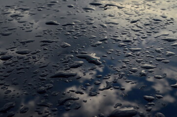 Rain drops on top of the dark car roof.Water drops on car roof after raining , selective focus