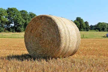 bales of hay