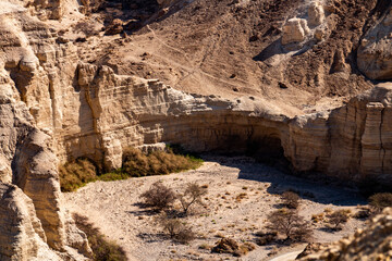 canyon in the desert