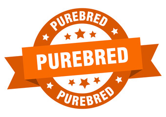 purebred round ribbon isolated label. purebred sign