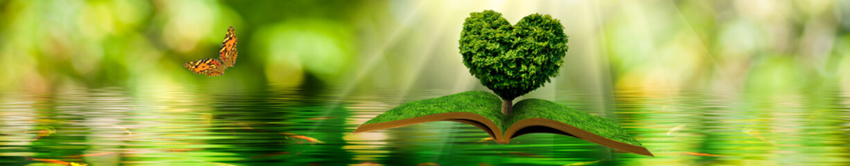 flying open book and a butterfly. Tree in the form of a stylized heart on a book on a background of...
