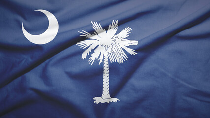 South Carolina state of United States of United States flag