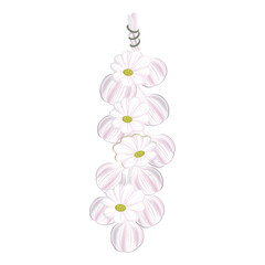 A bunch of garlic on a white background. Harvesting for the winter. Autumn harvest. Vector illustration