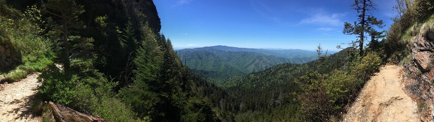 Mount LeConte Trail - Smoky Mountains National Park, TN