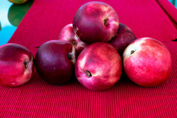 Nectarines, a smooth-skinned peach (Prunus persica var. nucipersica). Peaches of a variety with smooth, thin, brightly colored skin and rich firm flesh