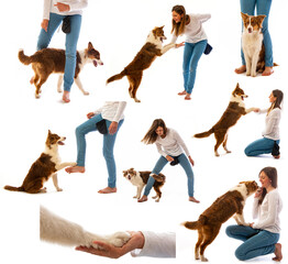 collection - girl and her dog - obedience