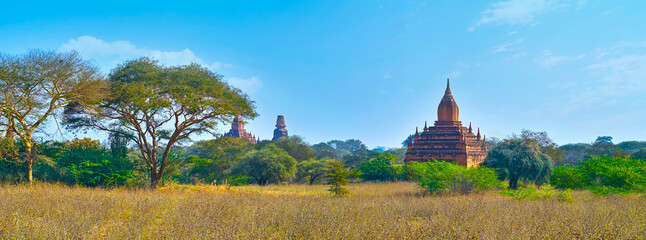 Panorama of Bagan plain, Myanmar
