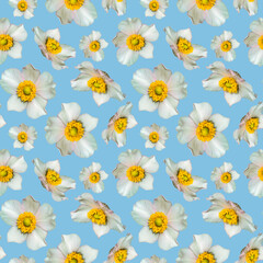 Beautiful flowers seamless pattern isolated.