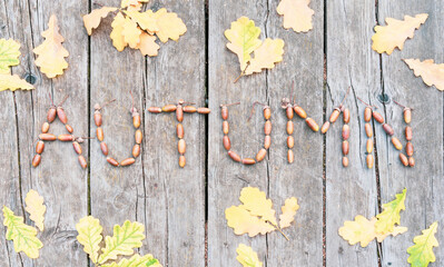 Lettering from acorns autumn fall title yellow falling leaves on wooden floor background