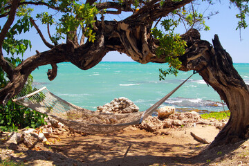 Isolated braided empty beach hammock hanging in shade on one crooked tree in caribbean sea island....