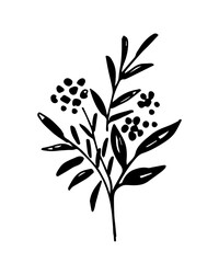 Floral berry bouquet with branches and leaves. Black silhouette on a white background. Hand-drawn vector drawing. Autumn-summer season.