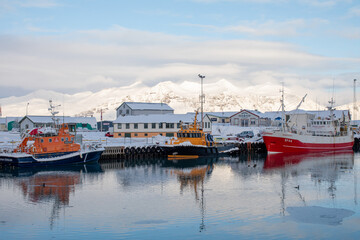 Fototapeta premium Höfn Port Panorama on Winter ice beach with boat