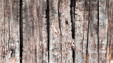 Old wood planks, perfect background for your concept or project.