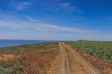 Fototapeta na wymiar road in the field along the sea