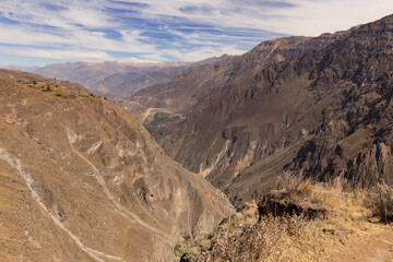Panoramic view of Colca Canyon, in Peru.