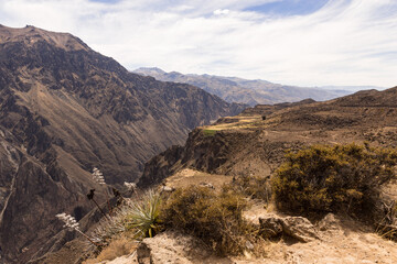 Panoramic view of Colca Canyon, in Peru.