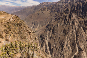Panoramic view of Colca Canyon, in Peru.