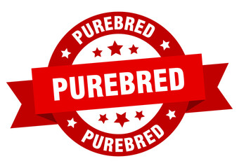 purebred round ribbon isolated label. purebred sign