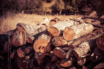 Stacked timber logs with background of mountains and forest. Taken in South Africa's border region...