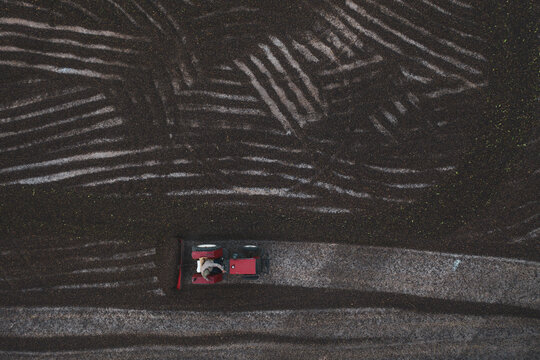 Aerial view of coffee beans being collected from the ground in special area after drying in the sun. Fair trade storytelling concept. 