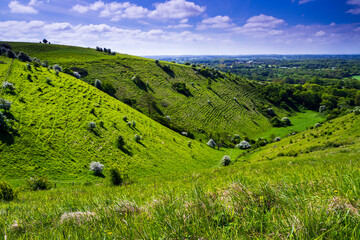 A bright sunny spring down on the Kent downs near wye looking down the valley at Devils Kneeding...