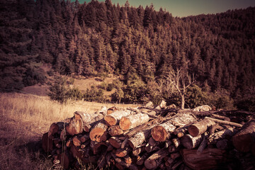 Stacked timber logs with background of mountains and forest. Taken in South Africa's border region to Swaziland.