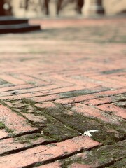 Ancient textured brick floor