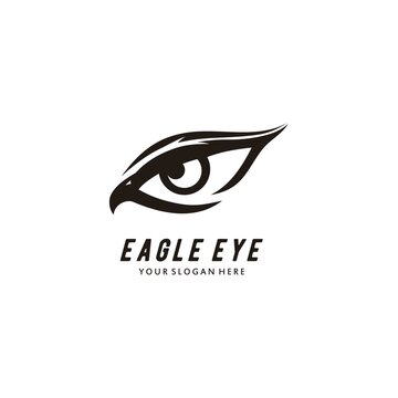 3 411 Best Eagle Eye Logo Images Stock Photos Vectors Adobe Stock