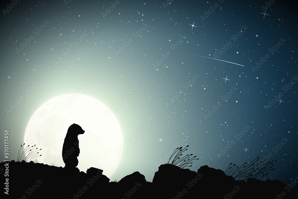 Poster lonely little bear and moon. baby animal silhouette. night starry sky