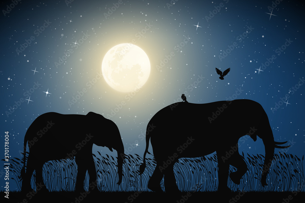 Sticker elephant family walking in tall grass on moonlight night. animal mother and baby silhouettes. full m