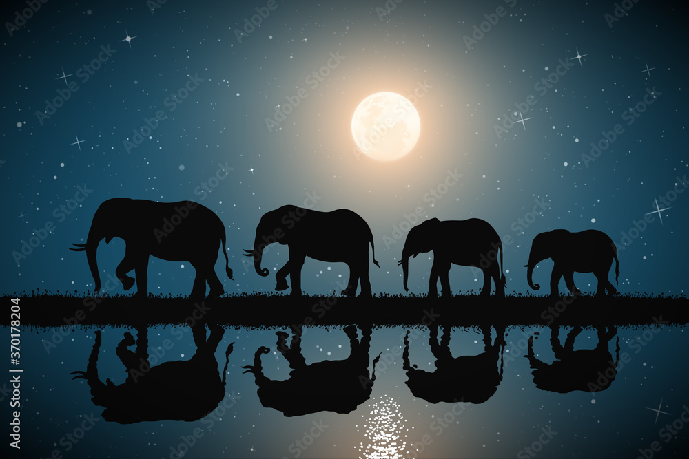 Sticker elephant family on river bank. animal silhouettes. moon in starry sky