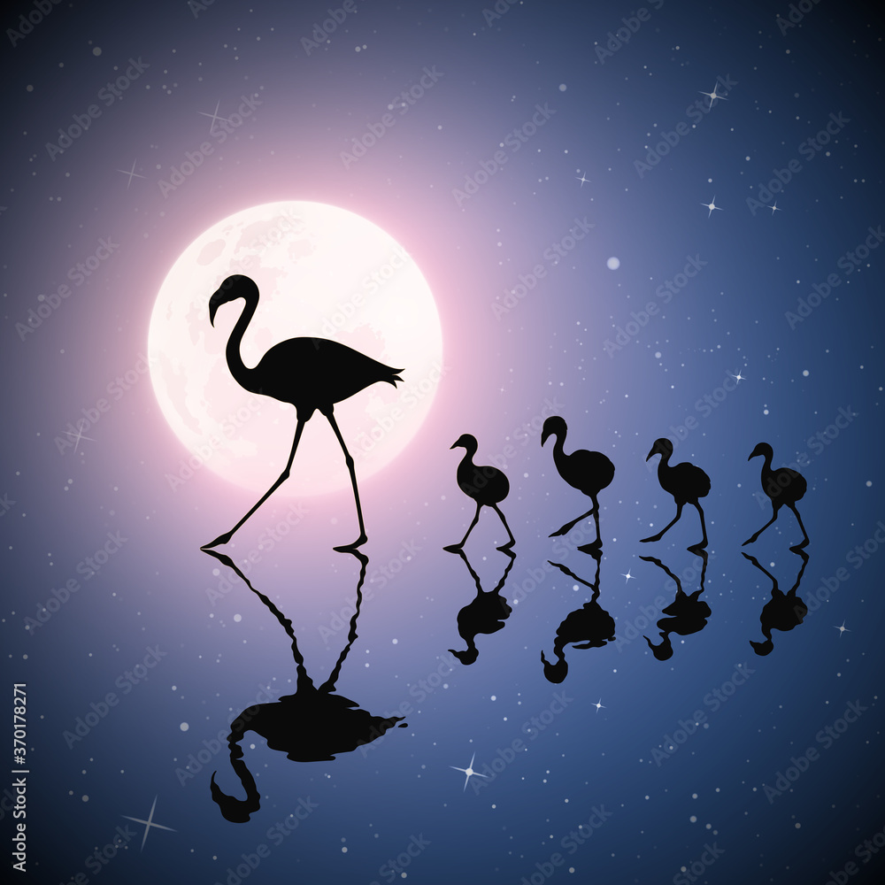 Sticker flamingo family on lake. birds silhouettes. moon in night starry sky
