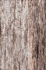 Old wood planks, perfect background for your concept or project.