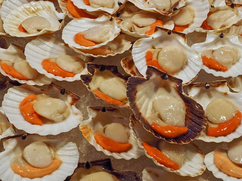 Macro of many canestrello shellfish
