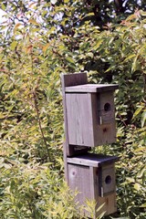 A close view of the old wood birdhouse in the park.