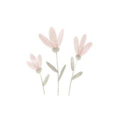 watercolor flowers of pale pink color isolated on white background. illustration in children's style.