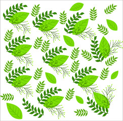 leaves background vector illustration decoration template