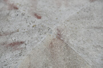 Cement wall surface texture,background