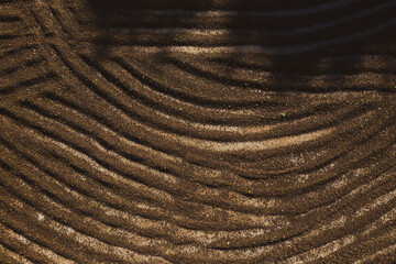 Aerial view of coffee beans scattered on the ground in special area for drying in the sun. Fair trade storytelling concept. 